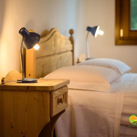 La Via Antiga Apartment Cittanova  Екстериор снимка