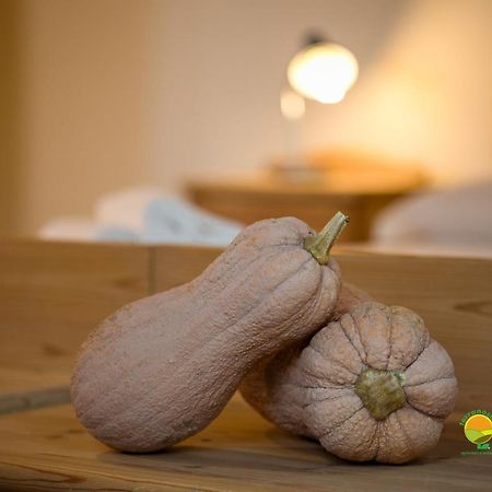 La Via Antiga Apartment Cittanova  Екстериор снимка