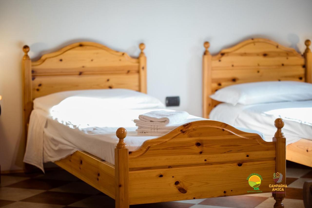 La Via Antiga Apartment Cittanova  Екстериор снимка