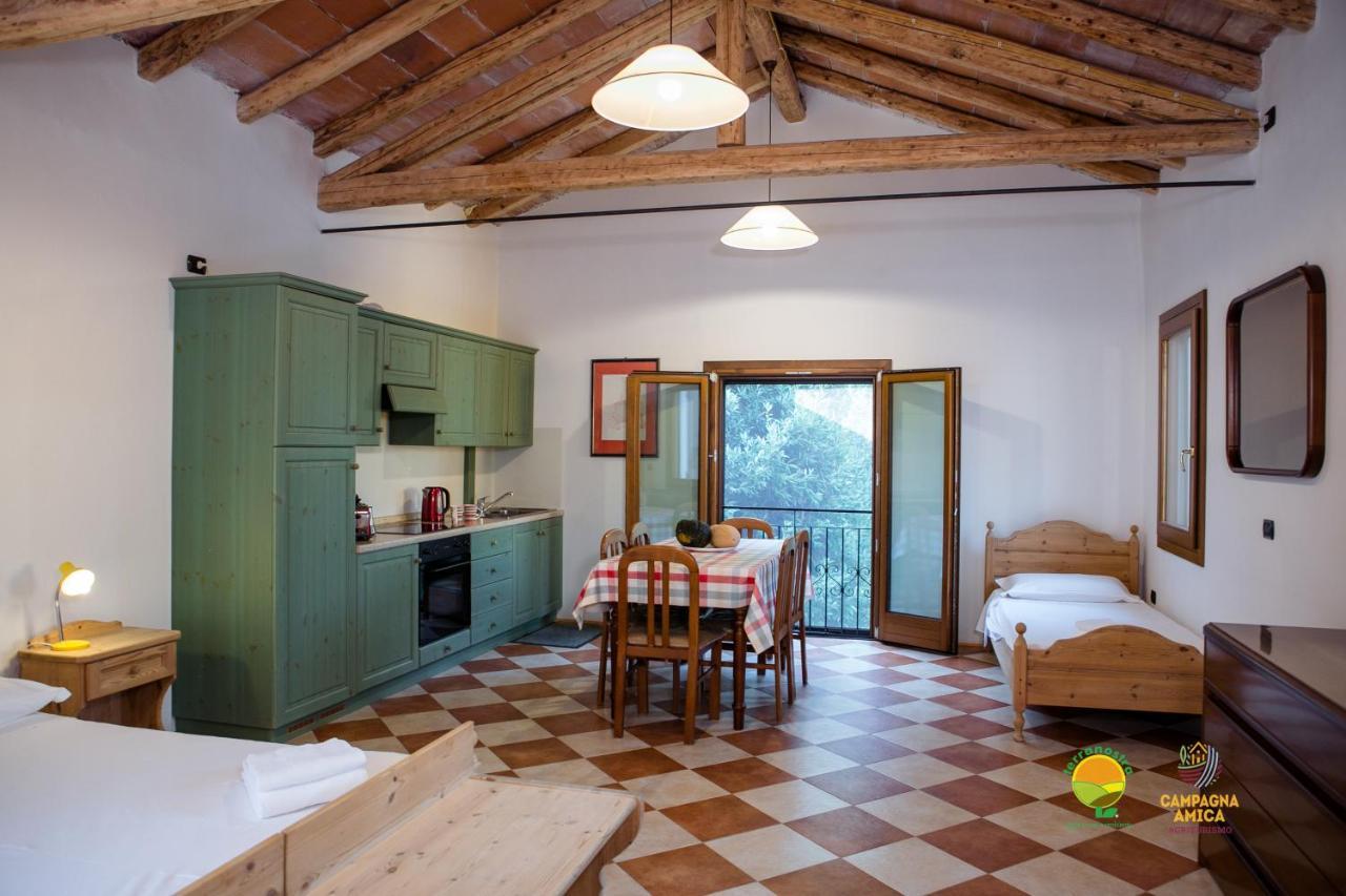 La Via Antiga Apartment Cittanova  Екстериор снимка