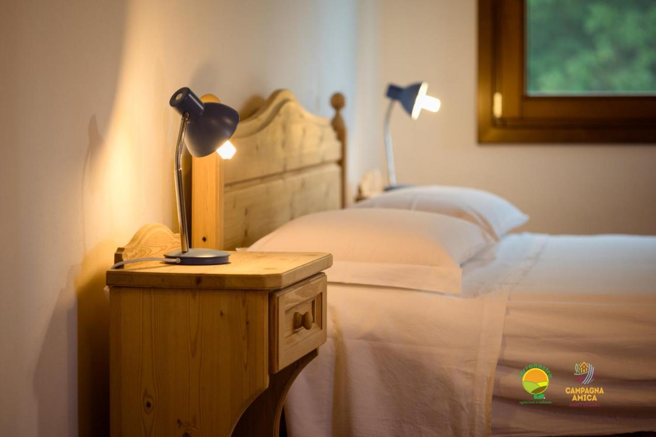 La Via Antiga Apartment Cittanova  Екстериор снимка