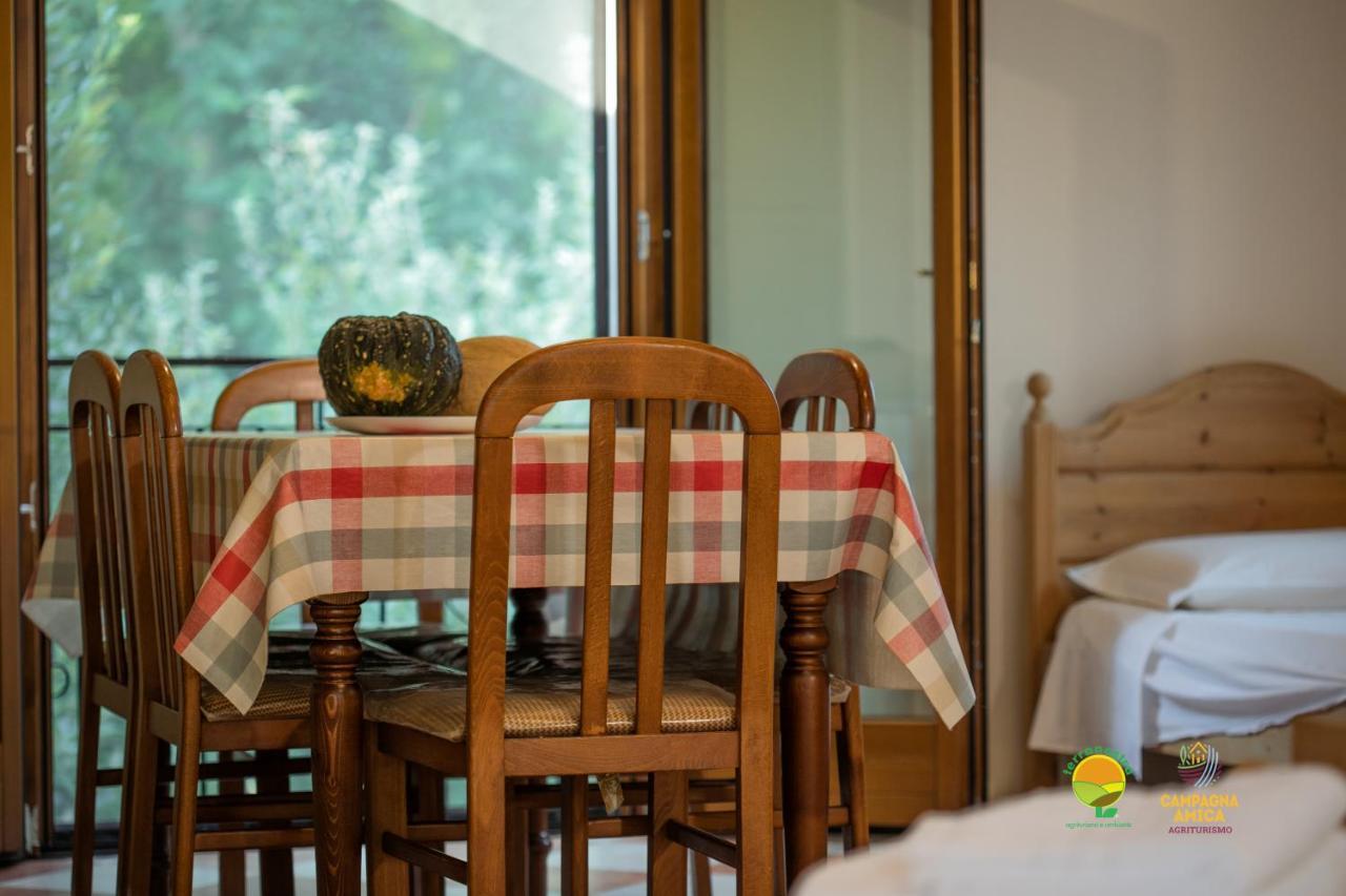 La Via Antiga Apartment Cittanova  Екстериор снимка