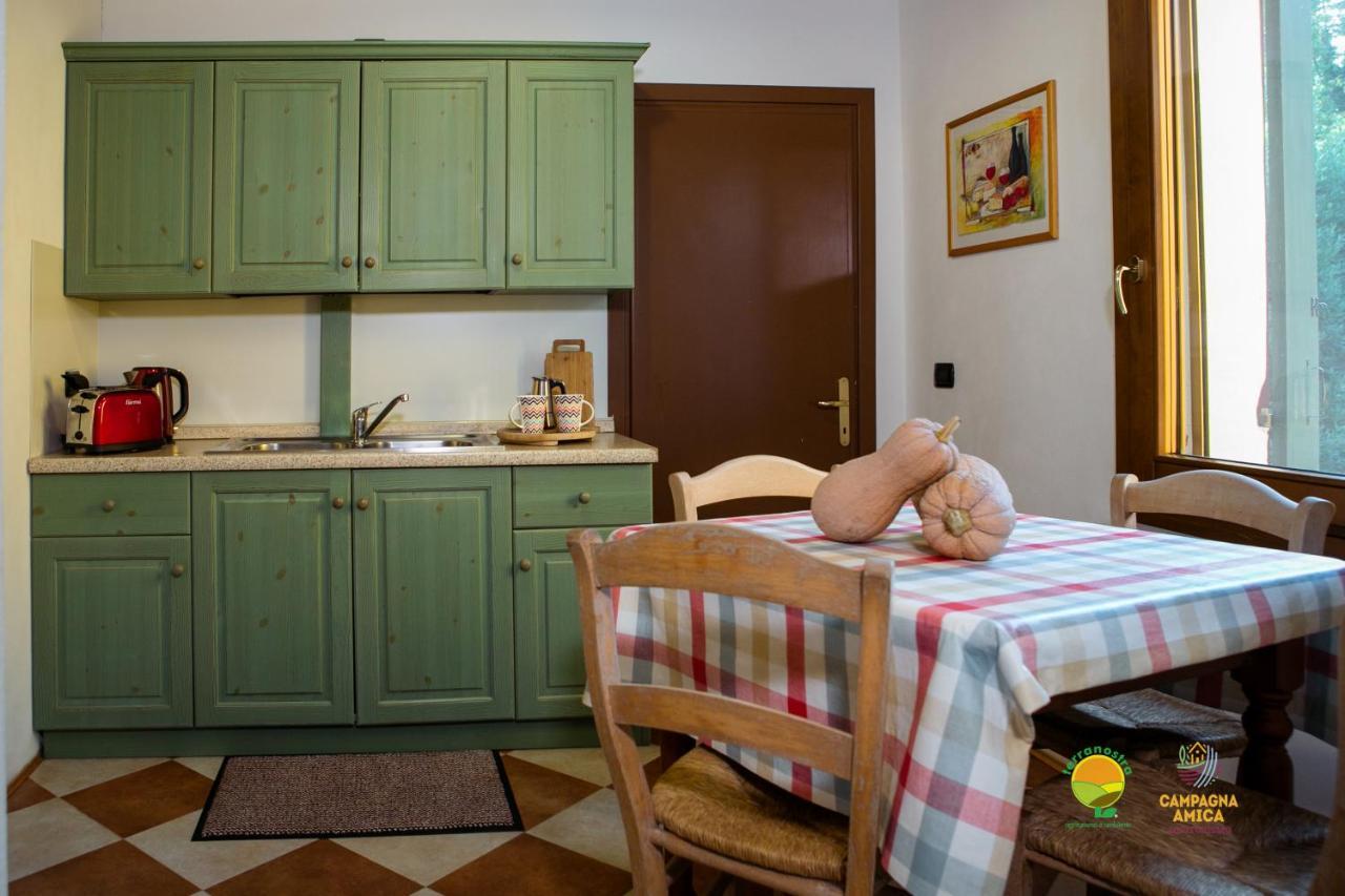 La Via Antiga Apartment Cittanova  Екстериор снимка