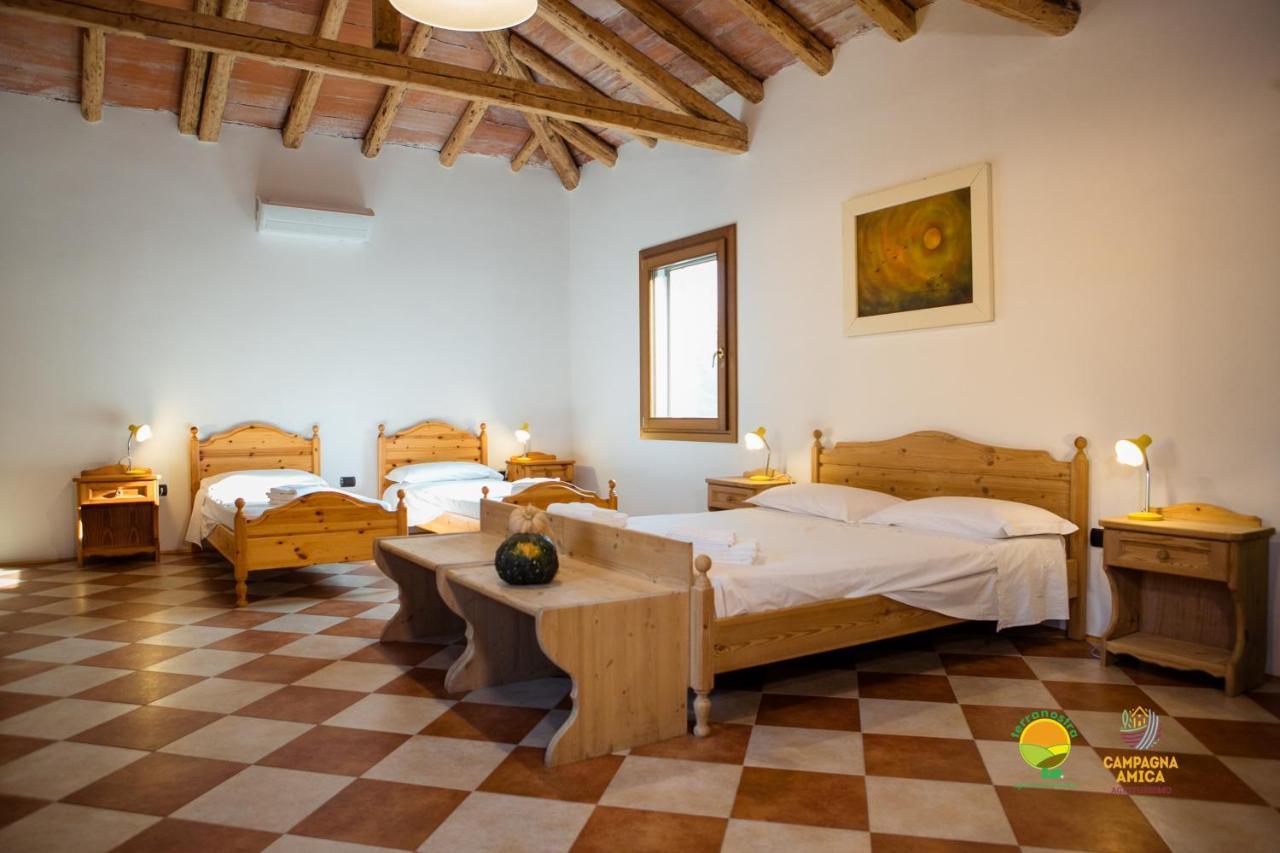 La Via Antiga Apartment Cittanova  Екстериор снимка