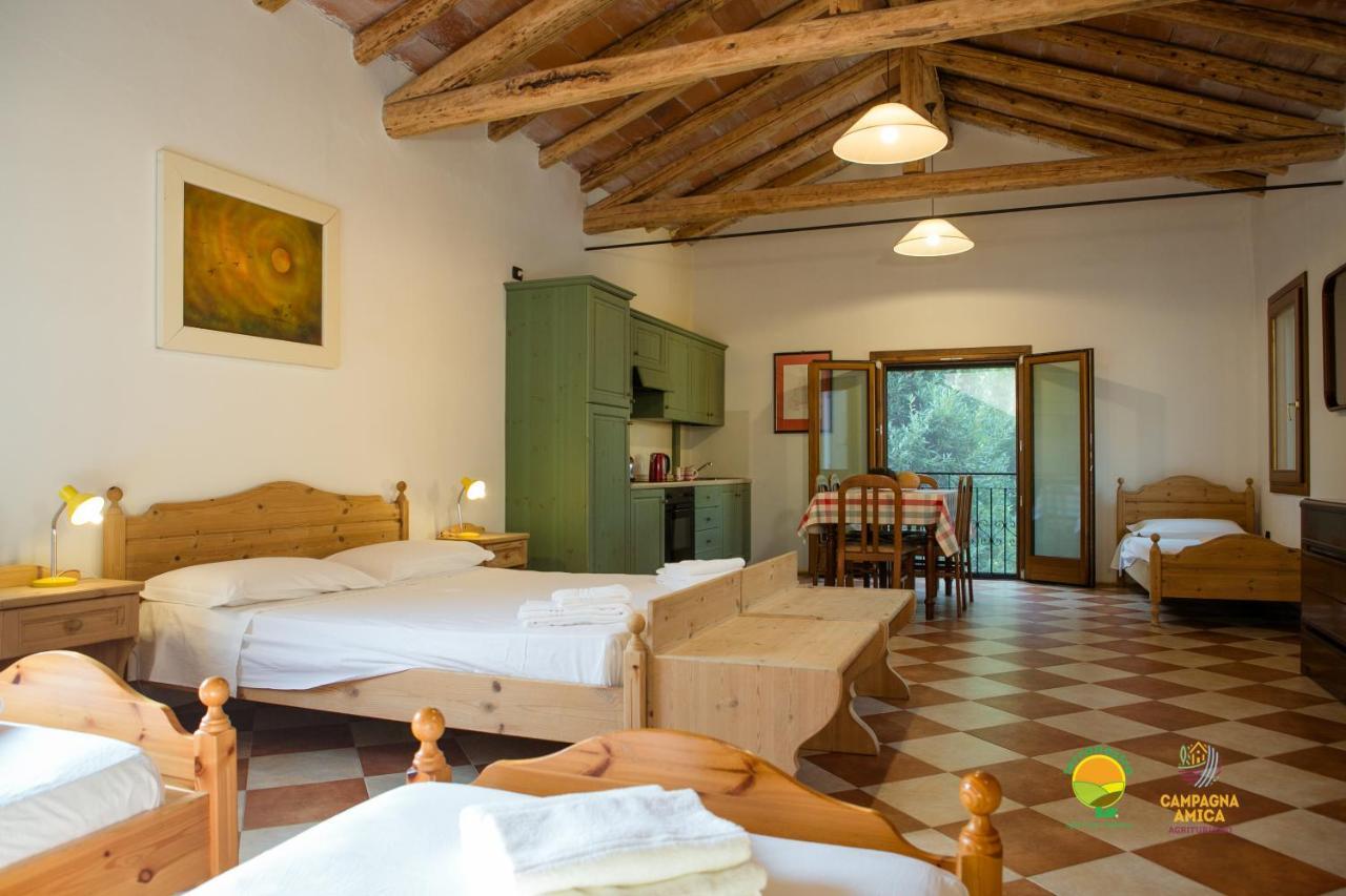 La Via Antiga Apartment Cittanova  Екстериор снимка